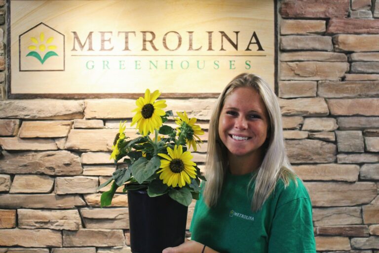 Internship Profile Abbi Cochran Grows at Metrolina Greenhouses High Point University