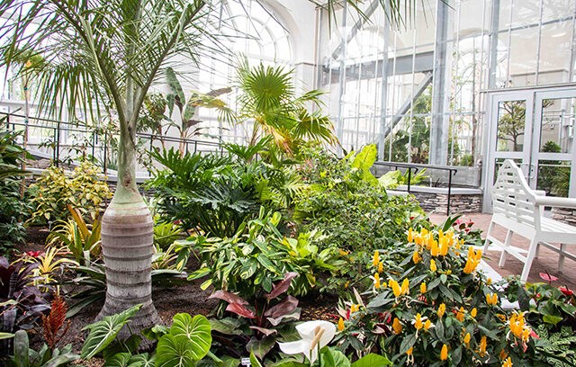 Caine Conservatory