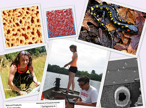 2015 SuRPS Research Abstract