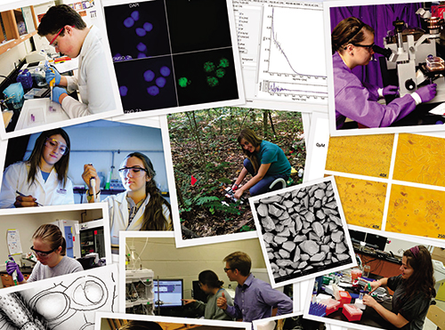 2017 SuRPS Research Abstract