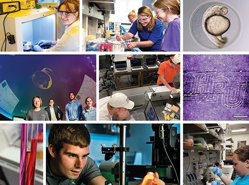 2021 SuRPS Research Abstract