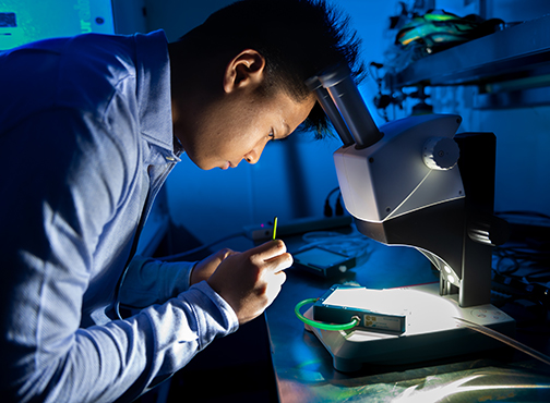 Biology Minor at the Wanek School of Natural Sciences at High Point University