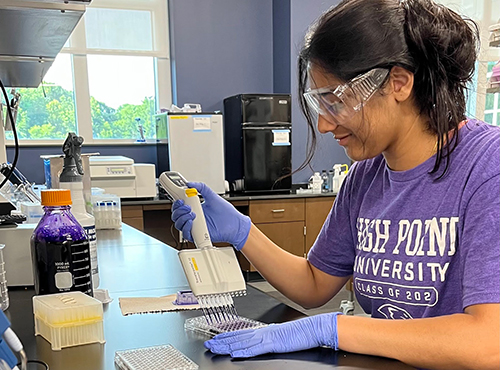 Chemistry Minor at the Wanek School of Natural Sciences at High Point University