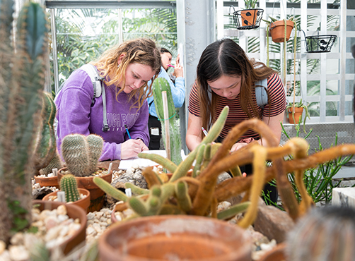 Environmental Studies Minor at the Wanek School of Natural Sciences at High Point University