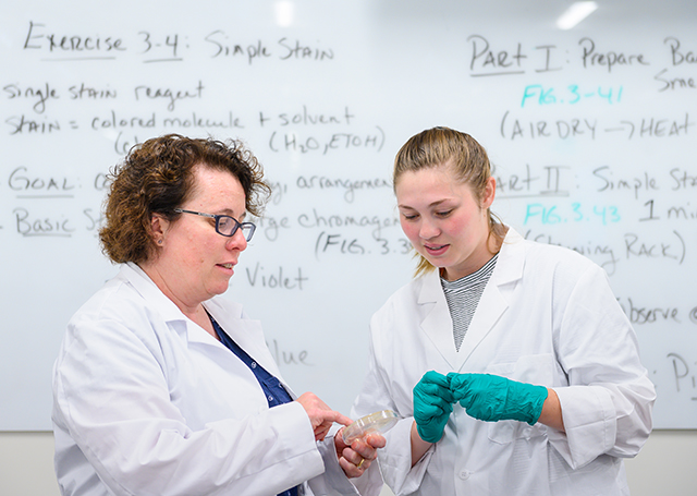 Pre-Professional Health Professions at the Wanek School of Natural Sciences at High Point University
