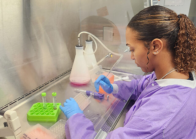 Neuroscience Minor at the Wanek School of Natural Sciences at High Point University