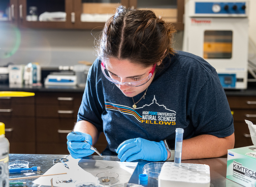 Physics Student at the Wanek School of Natural Sciences at High Point University
