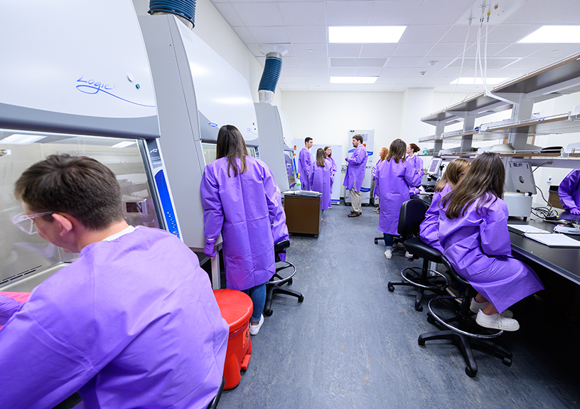 Cell Culture Facility