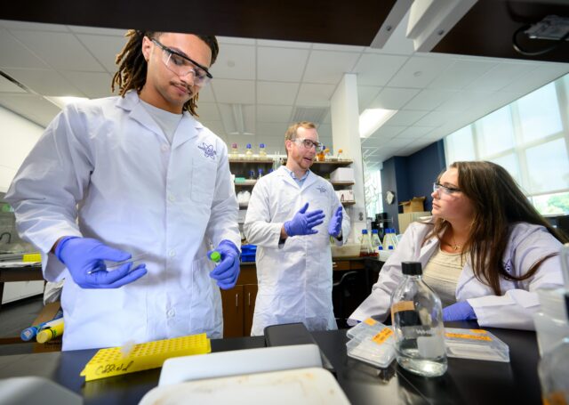 Whitson lab Su2026