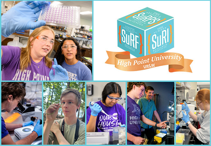 Summer Undergraduate Research Program