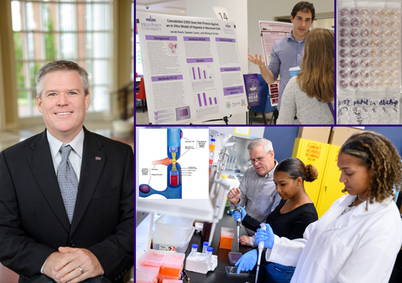 Dr. Michael Grider Research Interests