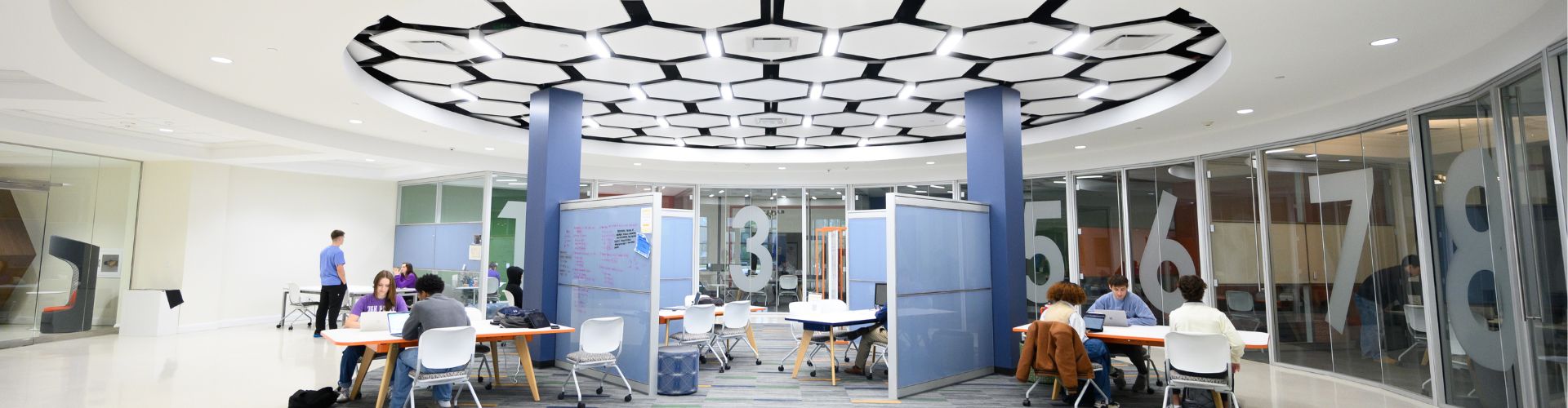 Neuroscience Photo Gallery