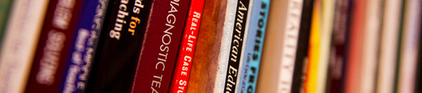 Accessibility Insights in the News