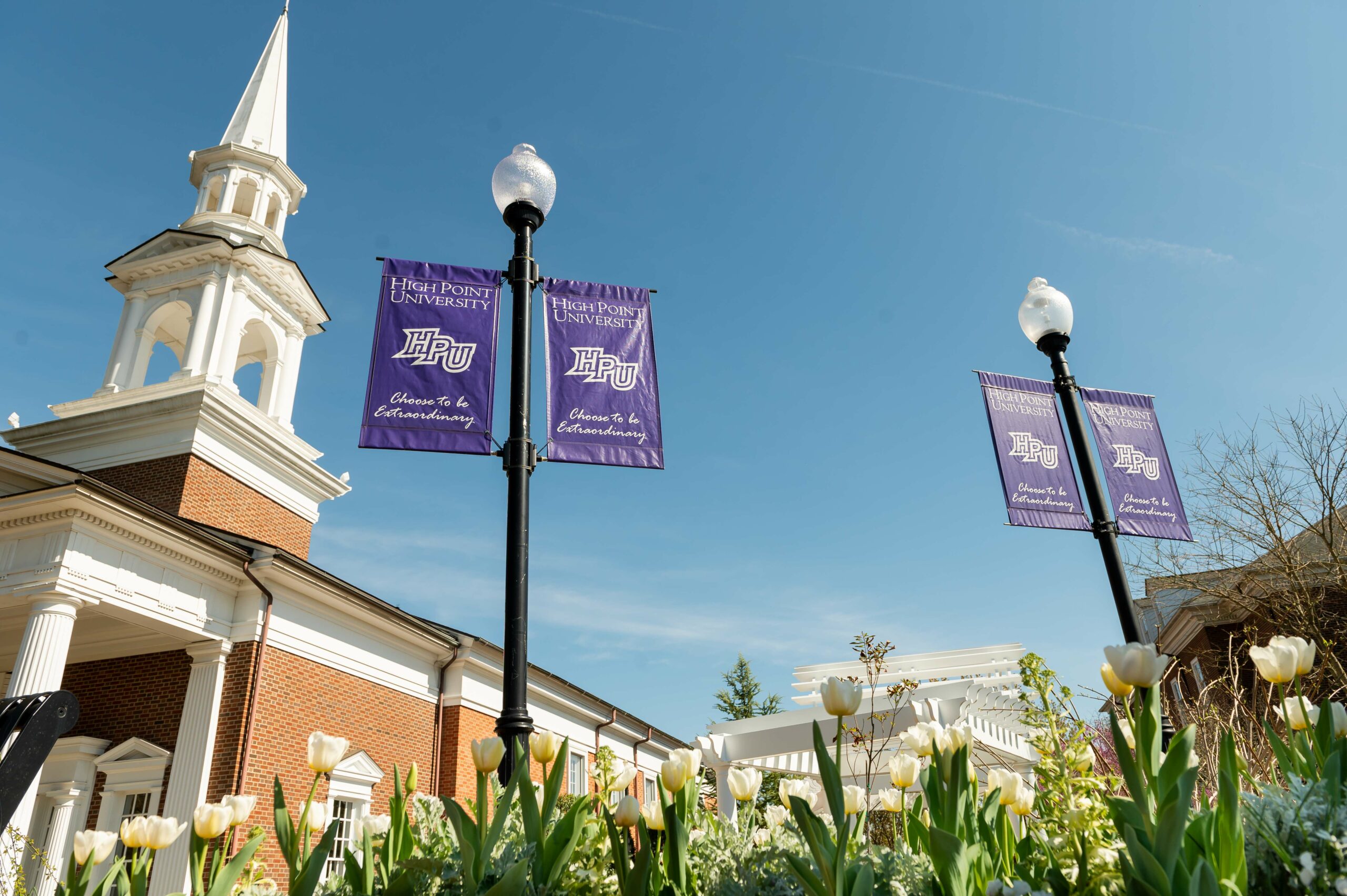 210330 Chapel Gardens 001