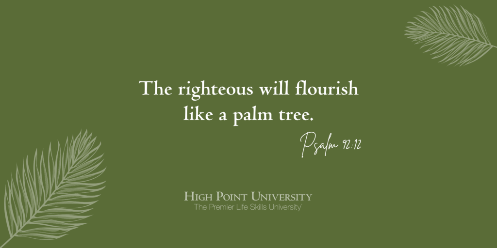 The righteous will flourish like a palm tree. Psalm 92:12