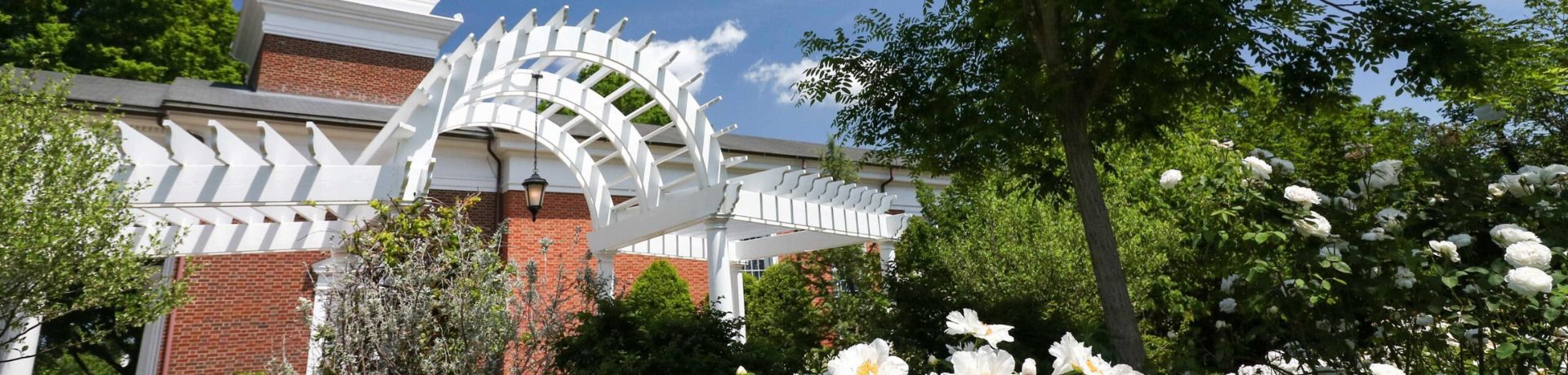 Testimony to Our Mission