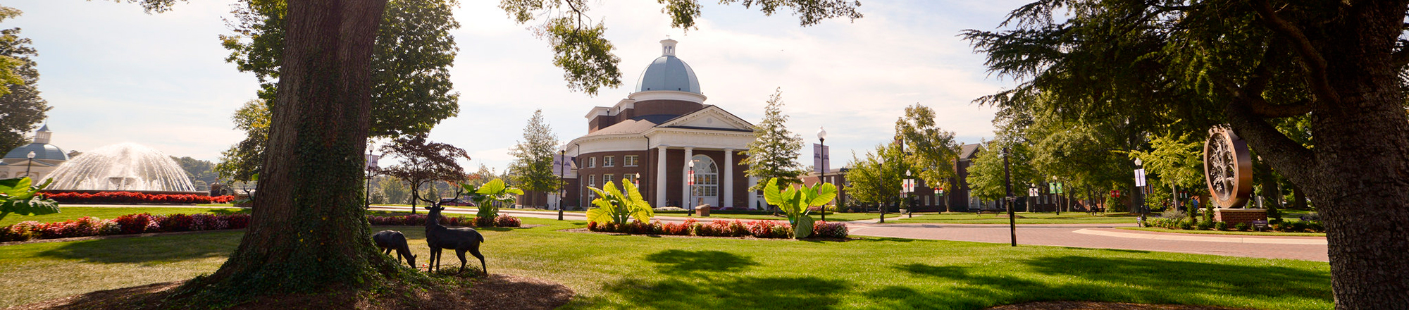 Make a Referral to the CARE Team